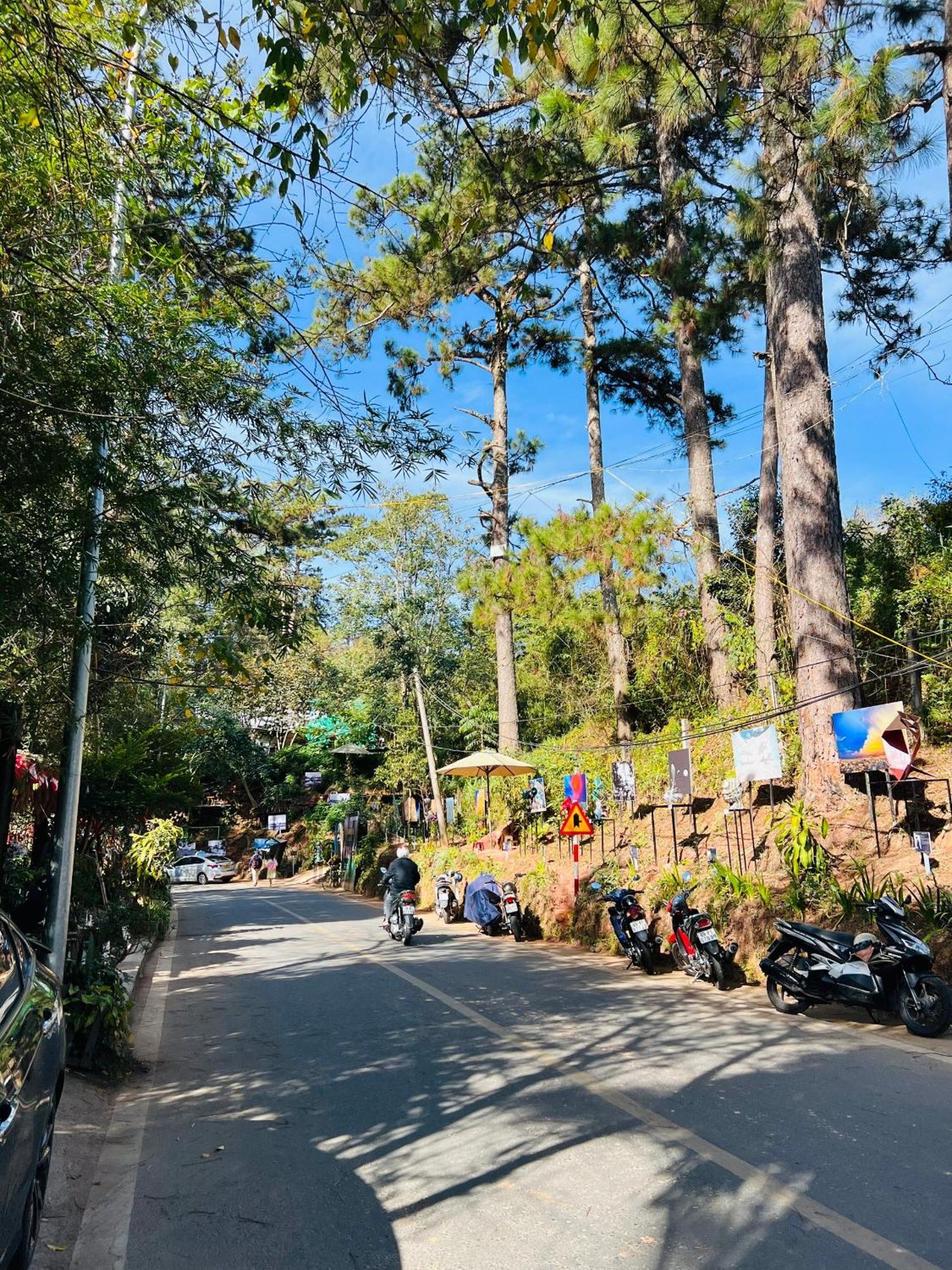 Nature Hotel - Dalat 3 외부 사진