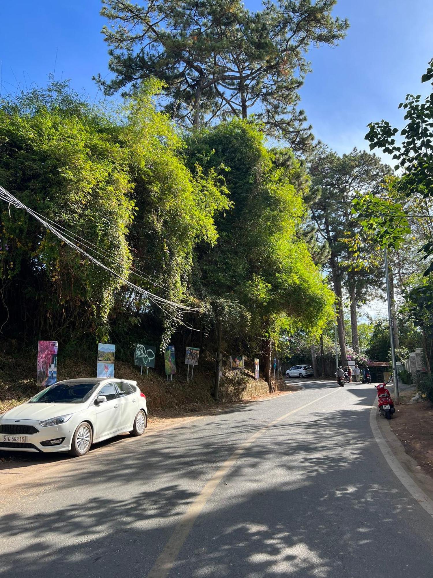 Nature Hotel - Dalat 3 외부 사진